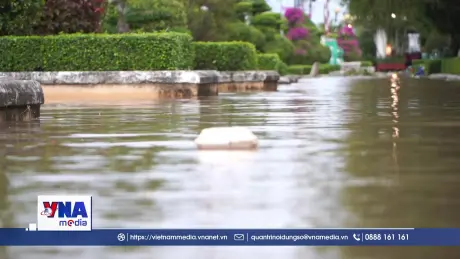 Cần Thơ chi hơn 192 tỷ cải tạo bến Ninh Kiều để chống ngập