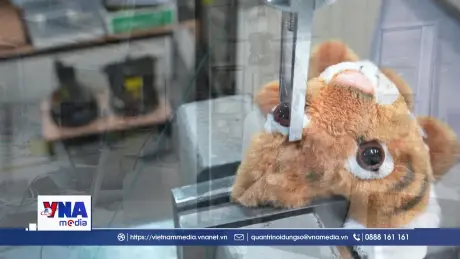 Quy định mới về an toàn đồ chơi trẻ em của EU