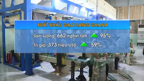 Châu Phi trở thành điểm đến tiềm năng của hạt gạo Việt