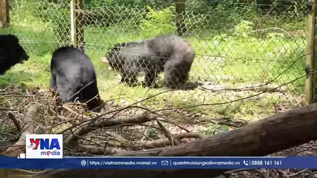 Vườn quốc gia Cát Tiên được Mạng lưới Du lịch Sinh thái Châu Á vinh danh