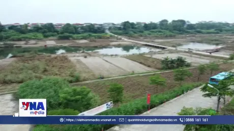 Khai trương tuyến buýt kết nối với xã đảo duy nhất của Thủ đô