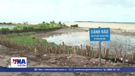 Vĩnh Long công bố tình huống khẩn cấp sạt lở bờ biển tại xã Long Vĩnh