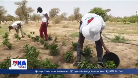 Ngày Phụ nữ Nông thôn với câu chuyện ở Senegal