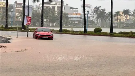 Cảnh báo mưa lớn cục bộ, lốc, sét ở khu vực Đông Bắc bộ, từ Thanh Hóa đến Hà Tĩnh