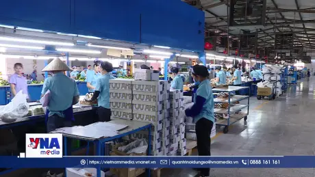 Áp lực tuyển dụng nhân lực cuối năm