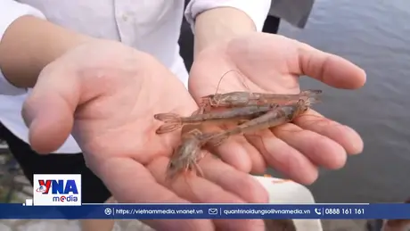 Nhật Bản cảnh giác trước thực phẩm có nguy cơ nhiễm phóng xạ