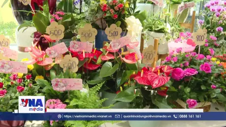 Thị trường hoa, quà tặng ở TP. Hồ Chí Minh sôi động trước lễ 20/10