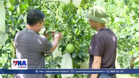 Phú Thọ nâng cao giá trị sản phẩm từ chương trình OCOP