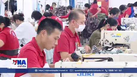 Lịch nghỉ Tết Nguyên đán và Quốc khánh năm 2026