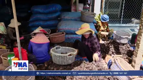 Hội quán ở Đồng Tháp gắn kết hỗ trợ trong sản xuất, kinh doanh