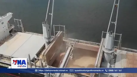 Ukraine nỗ lực phục hồi sản xuất ngũ cốc