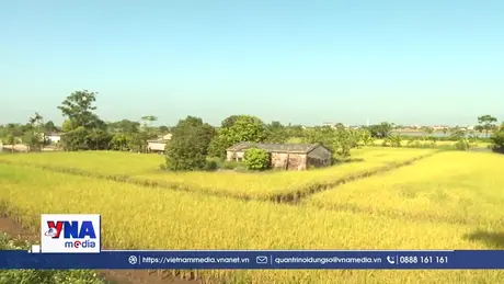 Để OCOP là đòn bẩy kinh tế nông thôn