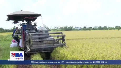 Liên kết sản xuất tiêu thụ nông sản ở Hưng Yên