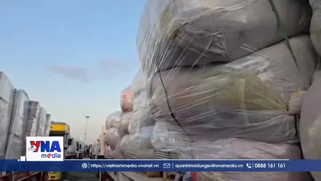 WFP kêu gọi hành động giải quyết nạn đói ở Dải Gaza