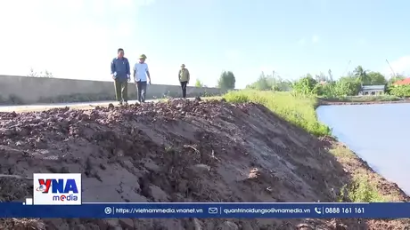 Sớm nâng cấp cải tạo, tuyến đê biển tại xã Hưng Phú, Hưng Yên