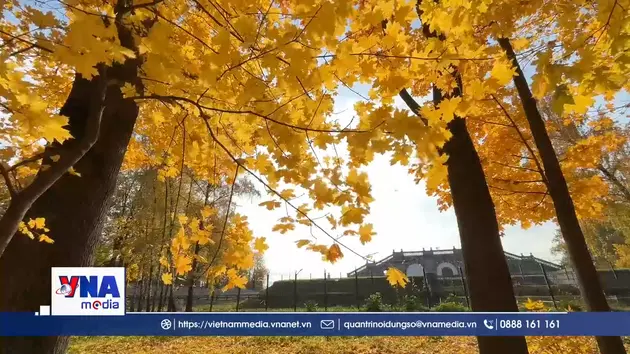 Say đắm mùa thu vàng ở nước Nga