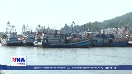 Nỗ lực chống khai thác IUU, ngưng tình trạng tàu cá bị bắt giữ