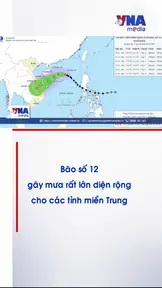 Bão số 12 gây mưa rất lớn diện rộng cho tỉnh miền Trung