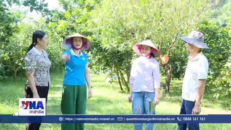 Phụ nữ Phú Thọ giúp nhau làm kinh tế