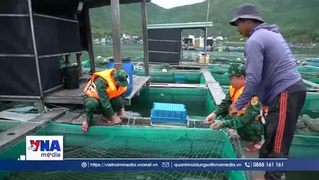 Bộ đội biên phòng Gia Lai huy động lực lượng ứng phó với cơn bão số 12