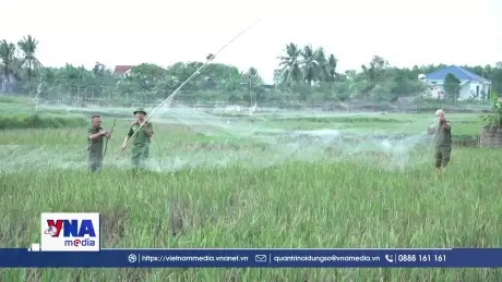 Chủ động ngăn chặn nạn bẫy bắt chim trời