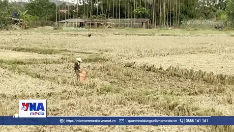Khơi lại mùa nước lành