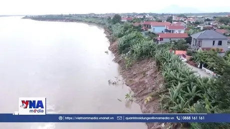 Đê hữu sông Thao ở Phú Thọ sạt lở nghiêm trọng