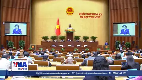Quốc hội nghe tờ trình, báo cáo thẩm tra sửa đổi Luật