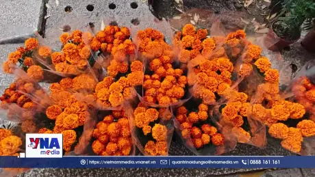 Lễ hội “Ngày của người chết” tại thủ đô Mexico City