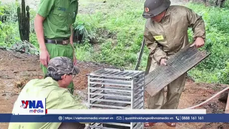 Quảng Trị thả 2 cá thể khỉ về môi trường