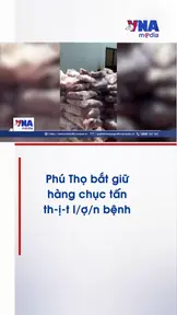 Phú Thọ bắt giữ hàng chục tấn thịt lợn bệnh .mp4