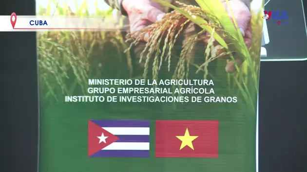 Việt Nam toàn cầu ngày 23/10/2025