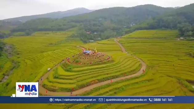 Ruộng bậc thang Miền Đồi thu hút hàng nghìn du khách