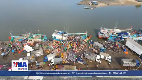 Siết chặt quản lý tàu cá ra, vào cảng tại TP. Hồ Chí Minh