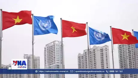 Trạm tin tối ngày 25/10/2025