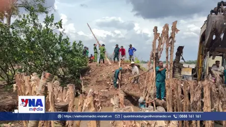 Người dân bất an khi cồn Thanh Long bị sạt lở