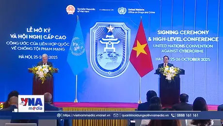 Trạm tin chiều ngày 25/10/2025