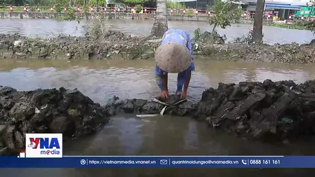 Cần Thơ: Triều cường tăng cao ảnh hưởng sản xuất nông nghiệp