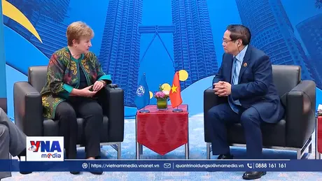Tăng cường hợp tác giữa Việt Nam với Quỹ Tiền tệ Quốc tế (IMF)