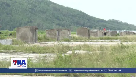 Diêm dân bỏ nghề, những đồng muối ở Thanh Hóa bị bỏ hoang