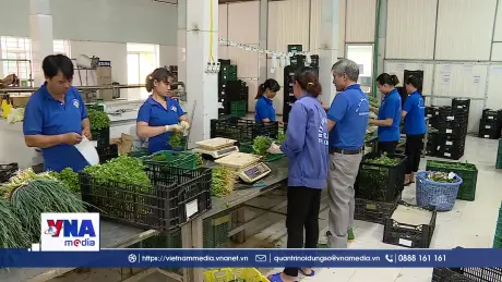 Chủ động nắm vững quy tắc xuất xứ để mở rộng thị trường xuất khẩu