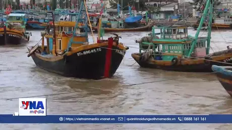 Mưa lớn gây ngập nhiều diện tích sản xuất nông nghiệp tại Lâm Đồng