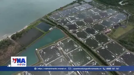 Indonesia đẩy nhanh khử nhiễm phóng xạ Cesium-137