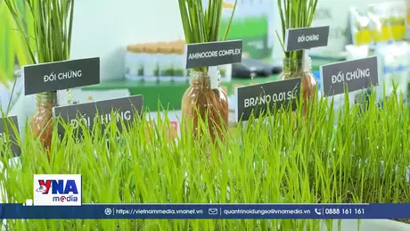 Canh tác lúa theo hướng bền vững, giảm phát thải