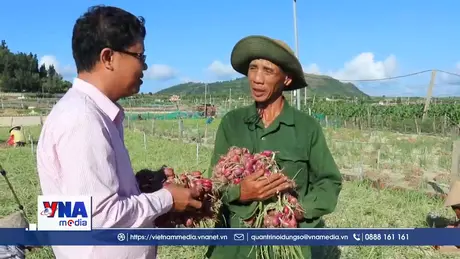 Quảng Ngãi: Khi dòng vốn gieo mầm ấm no