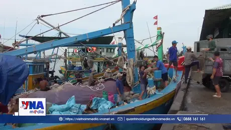 Lâm Đồng: Dốc sức thực hiện dứt điểm đăng ký, đăng kiểm tàu cá