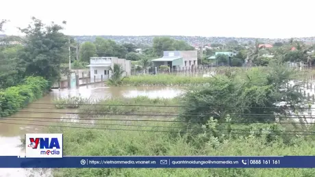 Vùng ven biển Lâm Đồng thiệt hại nặng nề do mưa lũ