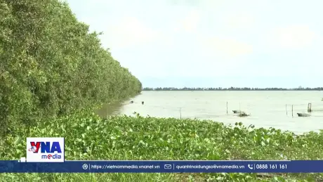 Hơn 820 ha lúa, hoa màu ở Tây Ninh bị thiệt hại do lũ