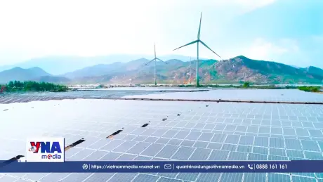 Góp ý văn kiện Đại hội XIV: Bảo vệ môi trường là nhiệm vụ trọng tâm