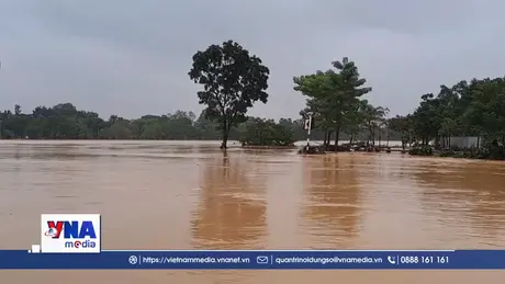 Lũ trên sông Hương đã xuống sát báo động 3